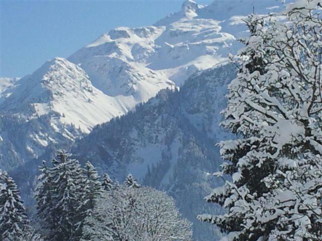 فندق براونفالدفي  Chalet Bergheimet المظهر الخارجي الصورة