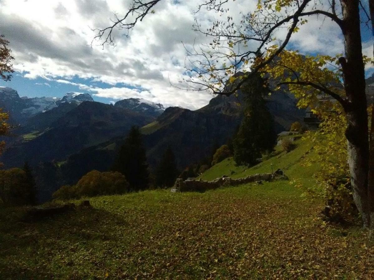 فندق براونفالدفي  Chalet Bergheimet المظهر الخارجي الصورة